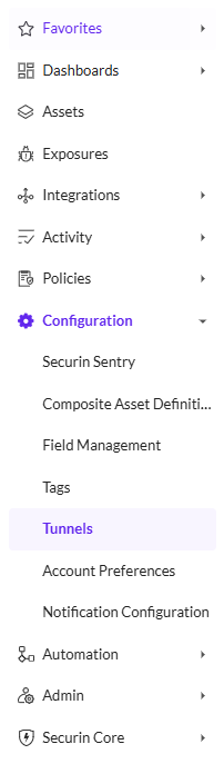 Delete a Tunnel - Securin Platform Documentation