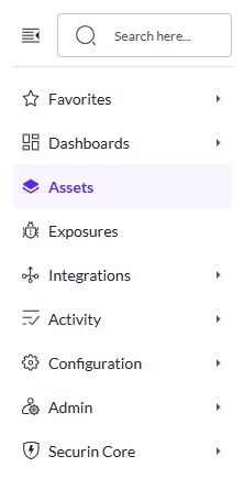 Delete Assets - Securin Platform Documentation